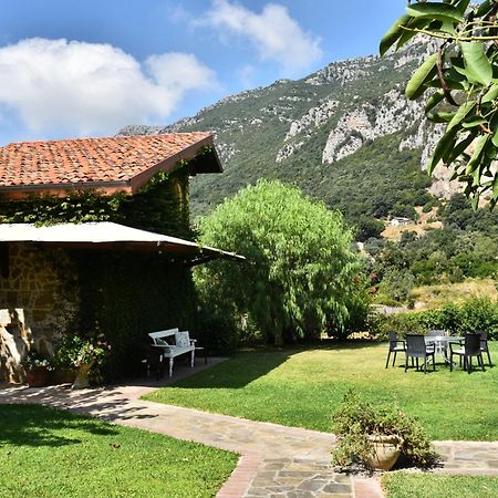 Country House Felicia Giungano Ngoại thất bức ảnh