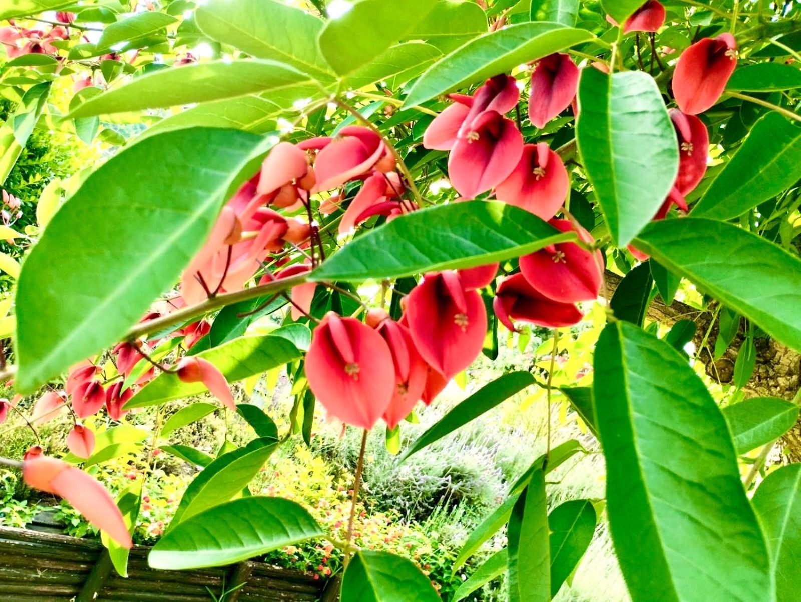 Country House Felicia Giungano Ngoại thất bức ảnh