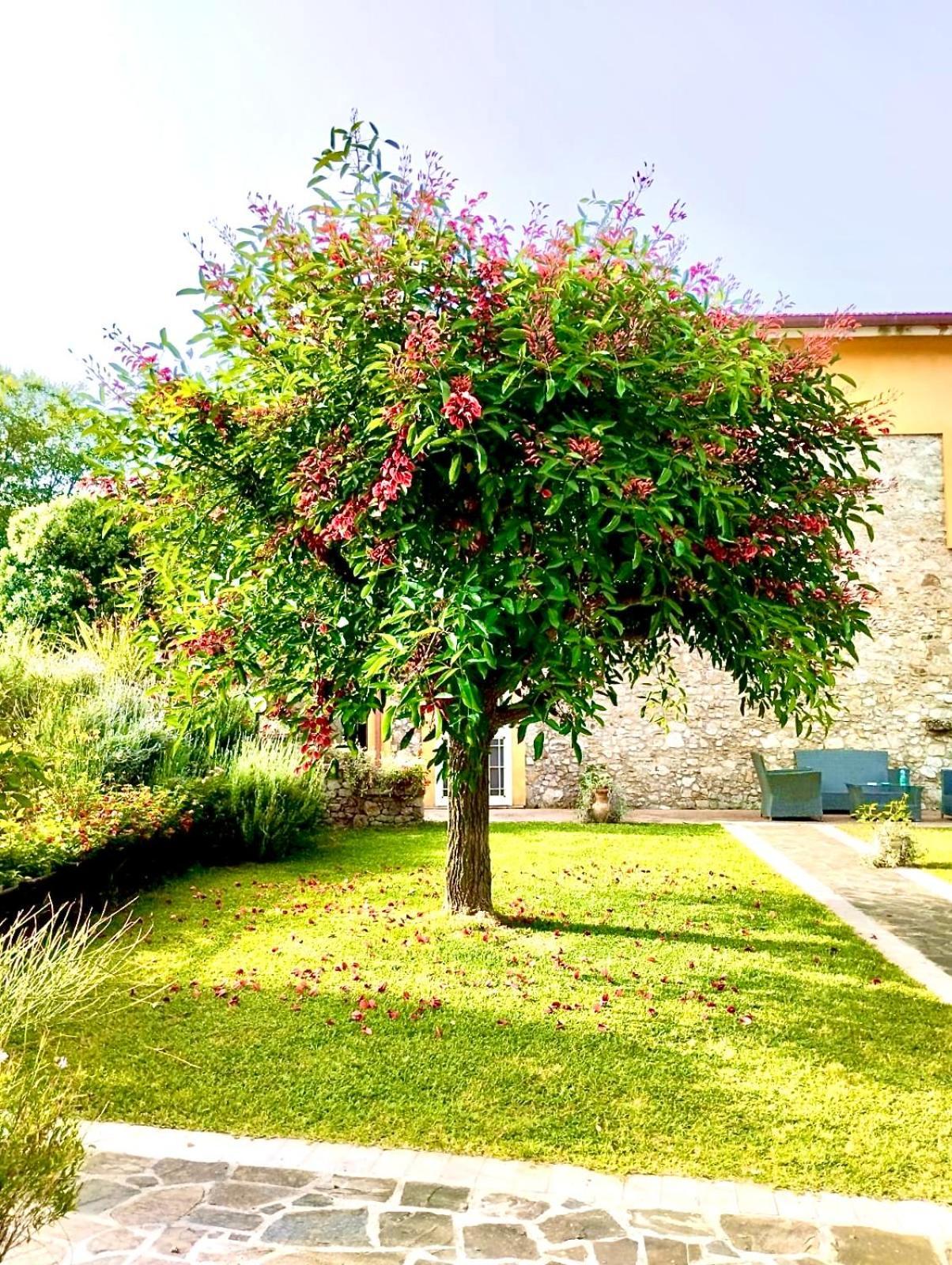 Country House Felicia Giungano Ngoại thất bức ảnh